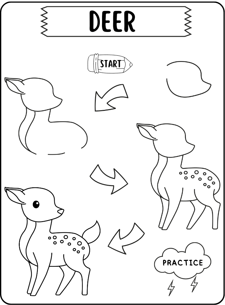 how to drawing deer